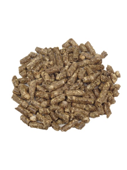 Maiscobs
