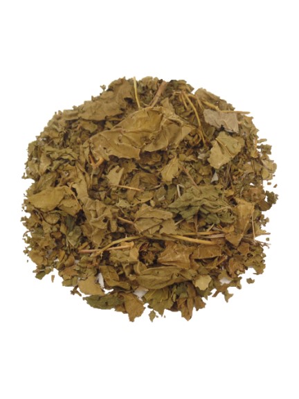 Brombeerblätter